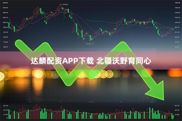 达麟配资APP下载 北疆沃野育同心