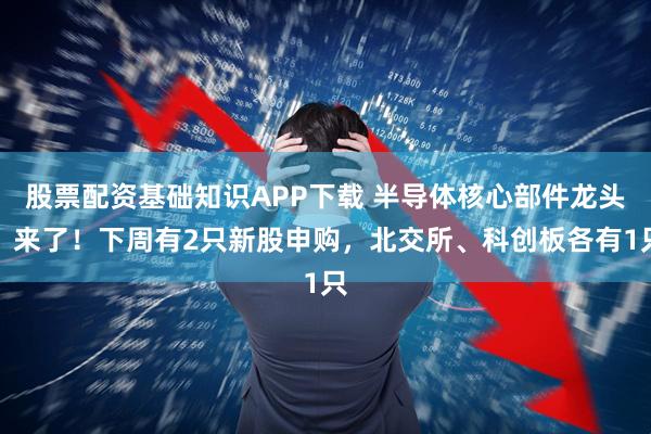 股票配资基础知识APP下载 半导体核心部件龙头，来了！下周有2只新股申购，北交所、科创板各有1只
