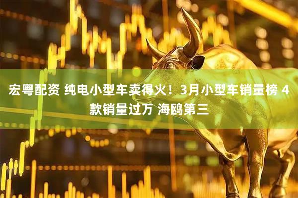 宏粤配资 纯电小型车卖得火！3月小型车销量榜 4款销量过万 海鸥第三